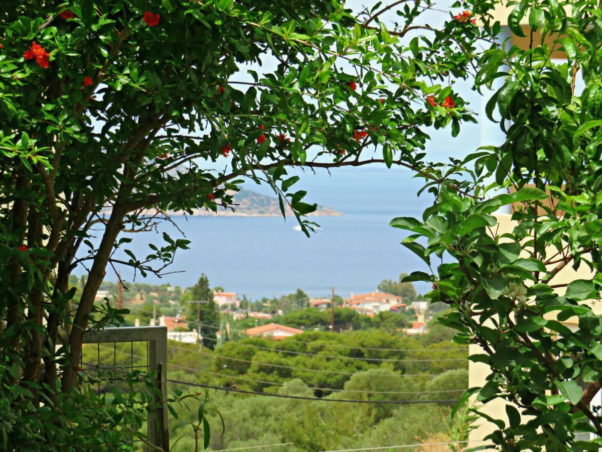 Thimari Sports & Spa With Private Pool And Jacuzzi Sounion Exterior foto